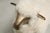 A very long time ago, my wife Robin and I were walking through a Flea Market on the outskirts of Paris, and standing right...