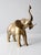 Vintage Brass Elephant For Sale - Image 6 of 11