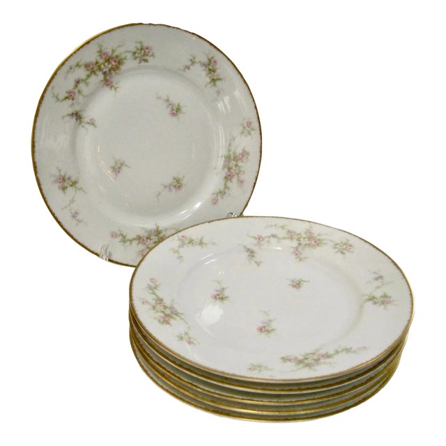 Antique Limoges Floral Dinner/Luncheon Plates- Set of 6 For Sale
