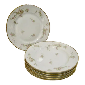 Antique Limoges Floral Dinner/Luncheon Plates- Set of 6