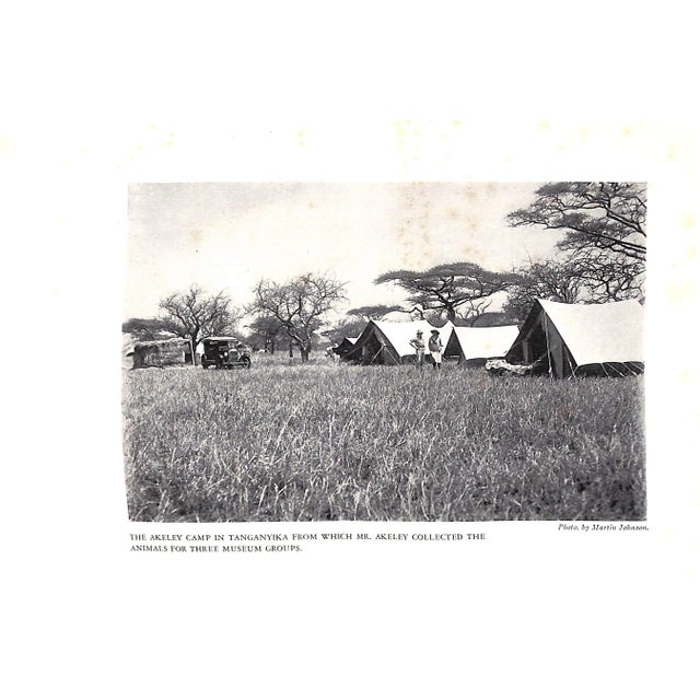 Carl Akeley's Africa: The Account of the Akeley Eastman-Pomeroy African Hall Expedition of the American Museum of Natural History For Sale - Image 9 of 12