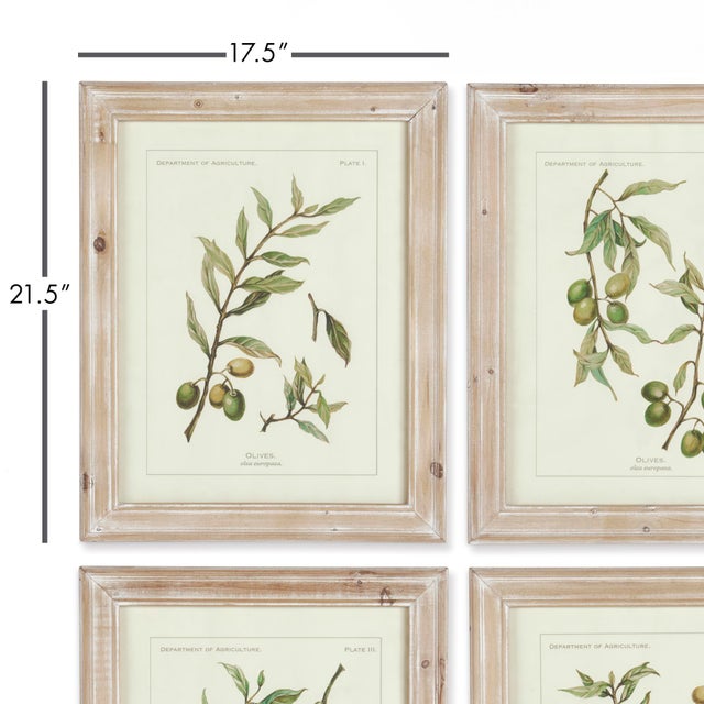 These olive studies illustrate the beautiful variants of color found in nature. TheWhitewashed, natural wood frames are a...