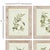 These olive studies illustrate the beautiful variants of color found in nature. TheWhitewashed, natural wood frames are a...