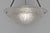 French Art Deco Pendant Light by Petitot 1930s - Floral Frosted Glass & Nickeled Bronze For Sale - Image 6 of 13