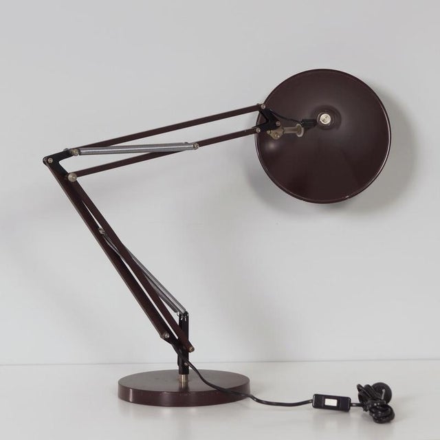 Metal Brown Desk Lamp with Adjustable Arm and Tulip-Shaped Shade from Hala, 1970s For Sale - Image 7 of 12
