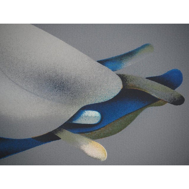 Jean-Paul Donadini, Le pigeon voyageur, Lithograph For Sale - Image 6 of 9