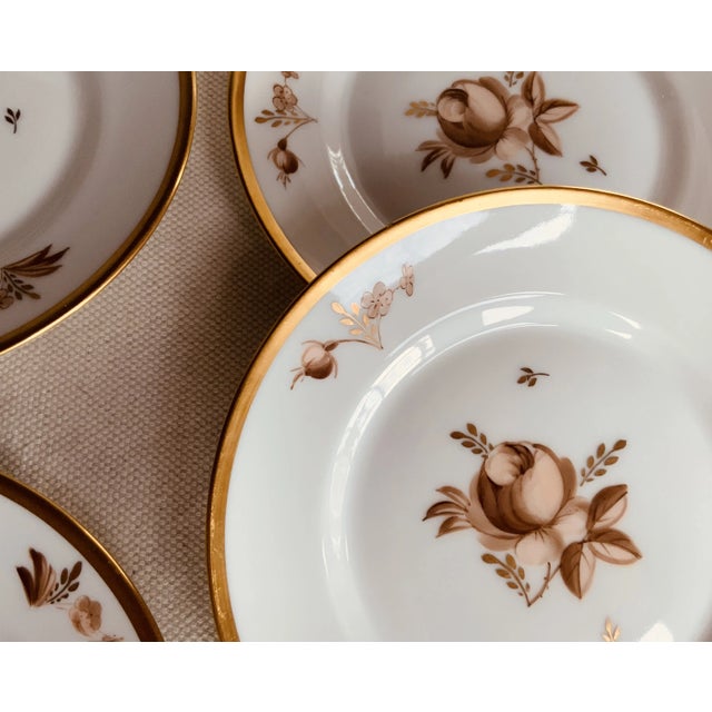 Royal Copenhagen Brown Rose Hand-Painted Porcelain 6.5"Plates Set of 6 - For Sale - Image 9 of 12
