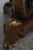 Brown Maitland Smith Round Mahogany Spiro Center Table For Sale - Image 8 of 15