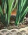 Green Original Signed Mary Helen Seago "Hyacinths" Oil on Canvas Painting For Sale - Image 8 of 10