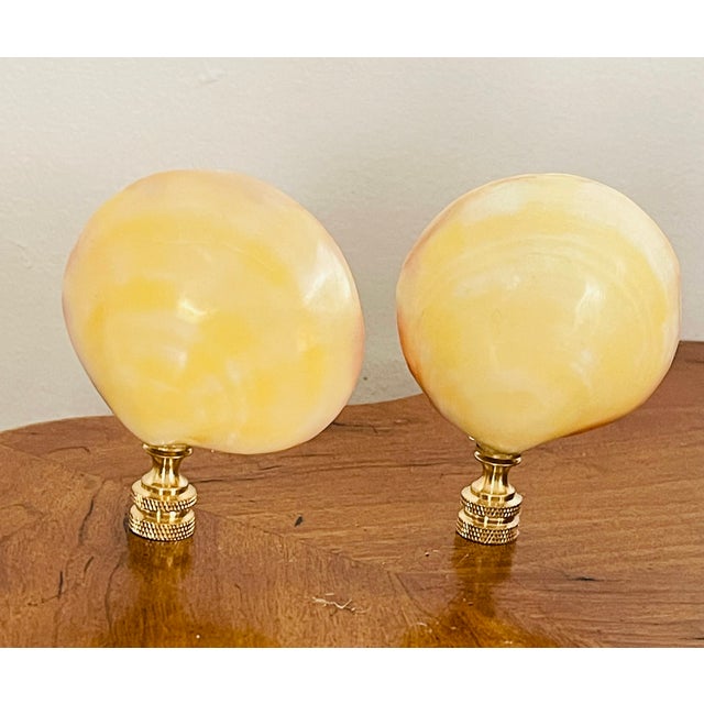 Coastal 1970s Polished Clam Sea Shells Lamp Finials For Sale - Image 3 of 4