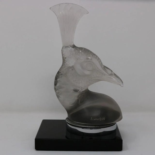 1920s Rene Lalique Glass 'Tete De Paon' Peacock Car Mascot For Sale - Image 6 of 13