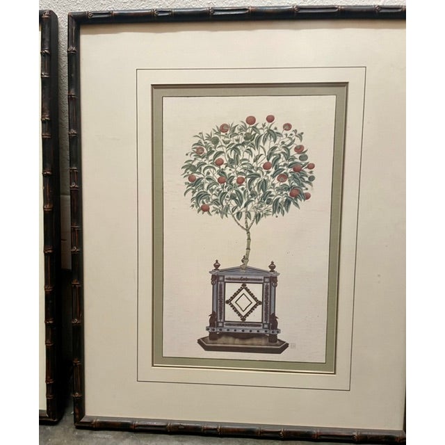 Chinoiserie Vintage Chinoiserie Fruit Tree Botanical Prints in Faux Bamboo Frames - Pair For Sale - Image 3 of 6
