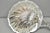 Early 20th Century Vintage English Regency Silver Plated Clam Shell Table Butler Serving Dish For Sale - Image 5 of 17