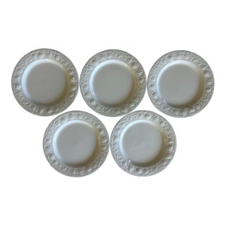 Mid 20th Century Italian Windsor Browne Dinner Plates With Embossed Fruit Rim - Set of 5 For Sale