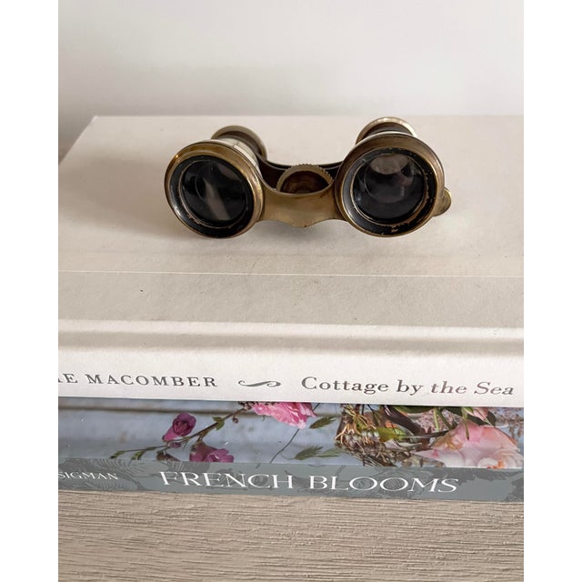 Geneva Jumelle Mother-of-Pearl Opera Glasses, Switzerland, Early 20th Century For Sale - Image 4 of 12