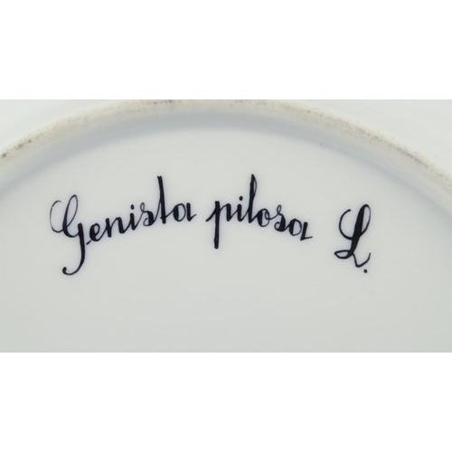 Flora Danica Plate in Hand-Painted Porcelain with Flowers from Royal Copenhagen, 1968 For Sale - Image 6 of 8