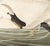 John James Audubon 1980s The Abbeville Press Edition of the Trumpeter Swan (Plate 406) From the Birds of America by John James Audubon For Sale - Image 4 of 5