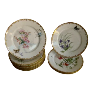 Set of 12 Sevres Botanical Plates, 1874