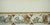Colored Planisphere by Willem Janszoon Blaeu For Sale - Image 5 of 7