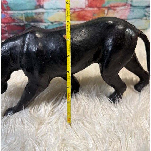 Animal Skin Vintage Black Panther For Sale - Image 7 of 7