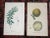 Antique 19th Century North AmericanTree Lithographs- Set of 7 For Sale - Image 4 of 8