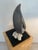 1960s Large Milkweed Pod Sculpture Vintage Mid Century Decor For Sale - Image 5 of 12