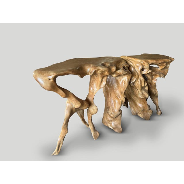 Andrianna Shamaris Monumental Sculptural Teak Root Console Table For Sale - Image 18 of 18