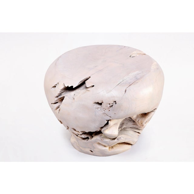 2020s Bleached White Teak Root Accent or Side Table or Stool 24 For Sale - Image 5 of 5