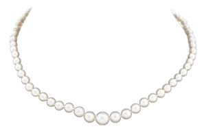 Graduated Pearl Necklace With 14k White Gold Clasp
