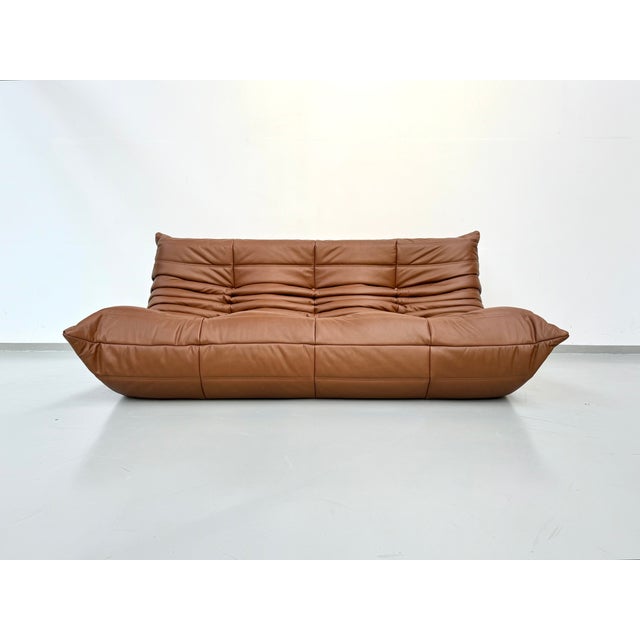 Brown Togo Three-Seater Sofa in Dark Cognac Leather by Michel Ducaroy for Ligne Roset For Sale - Image 8 of 12