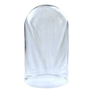 Large Clear Glass Display Cloche Bell Jar for Specimens, Candles & Decorative Objects, 11" For Sale