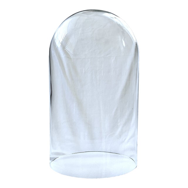 Large Clear Glass Display Cloche Bell Jar for Specimens, Candles & Decorative Objects, 11" For Sale