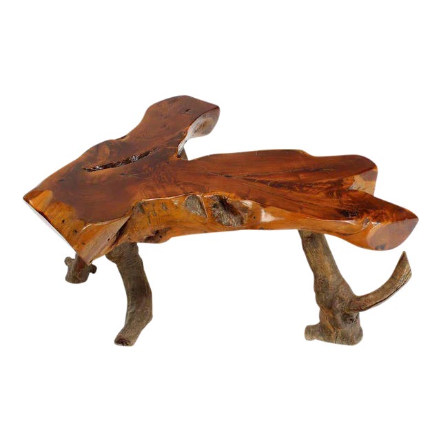 Organic Modern Driftwood Coffee Table For Sale - Image 11 of 11