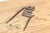 19th Century Antique Verdigris Metal Cutter For Sale - Image 5 of 6