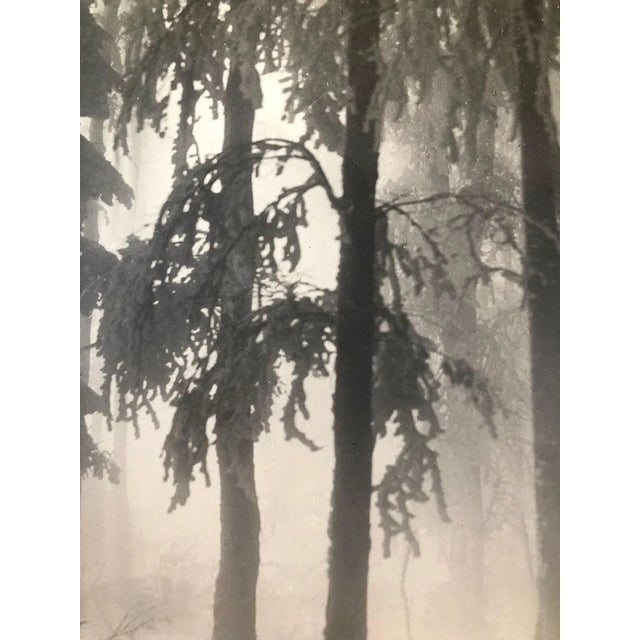 Art Photographs from Fritz Grögl, Austria, 1932, Set of 3 For Sale - Image 9 of 18