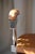Animal Skin Heron Chair by Vincent Decat For Sale - Image 7 of 8
