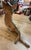 1920-1930 Original Painted Scotty Dog For Sale In Los Angeles - Image 6 of 7