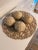 Jaru Set of 4 Jaru Cast Stone Textured Decorative Spheres For Sale - Image 4 of 5