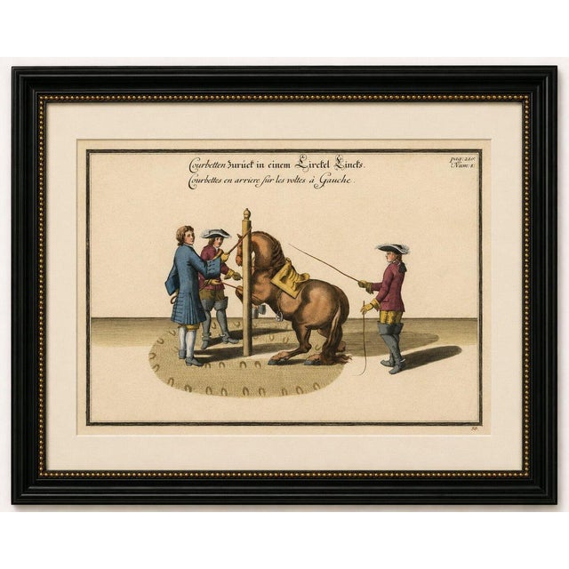 Title: Baroque Dressage Horse Training Engraving, Newcastle Riding School 1700 : This rare and highly decorative original...