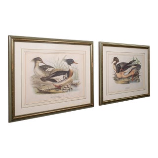 Pair of Antique Duck Pictures, Framed Wildlife Art Prints, Lithograph, Victorian For Sale