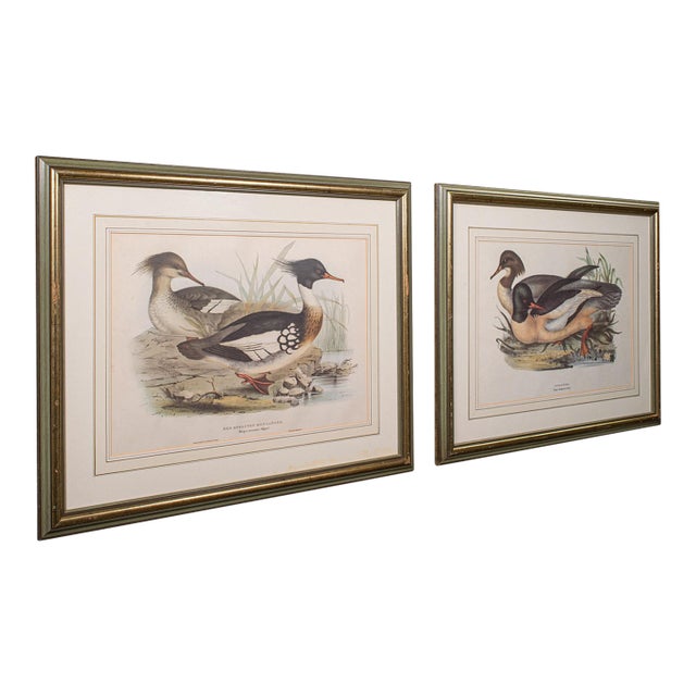 Pair of Antique Duck Pictures, Framed Wildlife Art Prints, Lithograph, Victorian For Sale