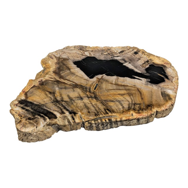 Unique Dark Brown Petrified Wood Kitchen Island polished petrified wood tray for sale