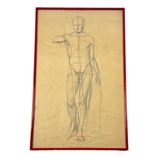 Anatomical Sketch, 1950, Pencil on Paper, Framed For Sale