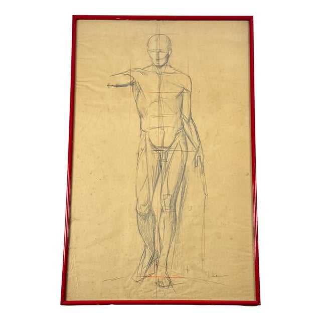 Anatomical Sketch, 1950, Pencil on Paper, Framed For Sale