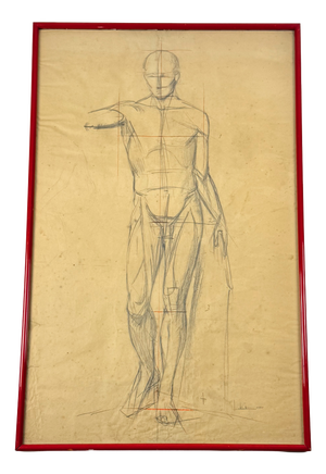 Anatomical Sketch, 1950, Pencil on Paper, Framed