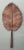 Vintage Copper Botanical Wall Art For Sale - Image 4 of 12