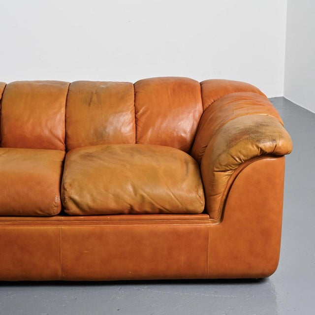Cocker Leather Sofa by Franco Bresciani for Poltrona Frau, 1970s For Sale - Image 6 of 16