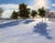 First Tracks by Rob Rey | Oil Painting of a snowy landscape with trees and shadows For Sale