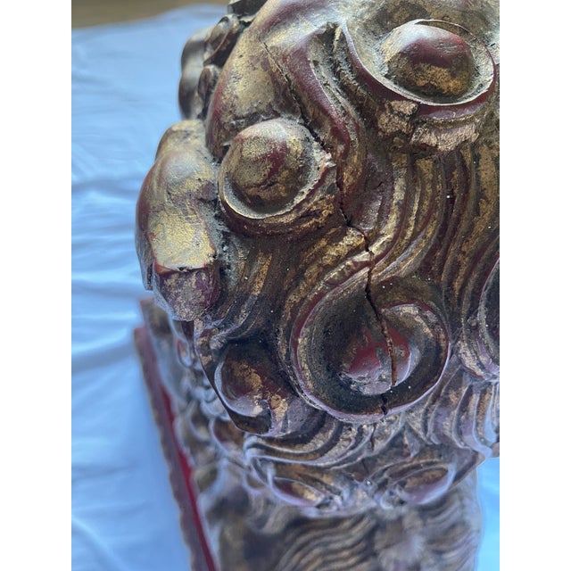 Antique Gilded Foo Lions - a Pair For Sale - Image 11 of 12