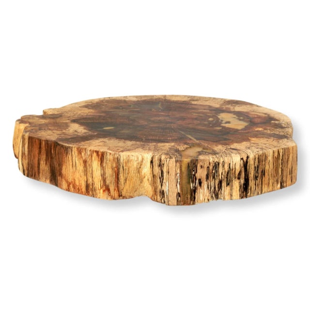 Large unique cheese board made from a live edge log slice. Resin and cutting board wax used to polish it are both food...